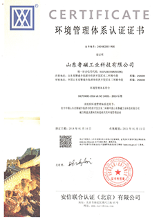 环境管理体系认证中文 001.png